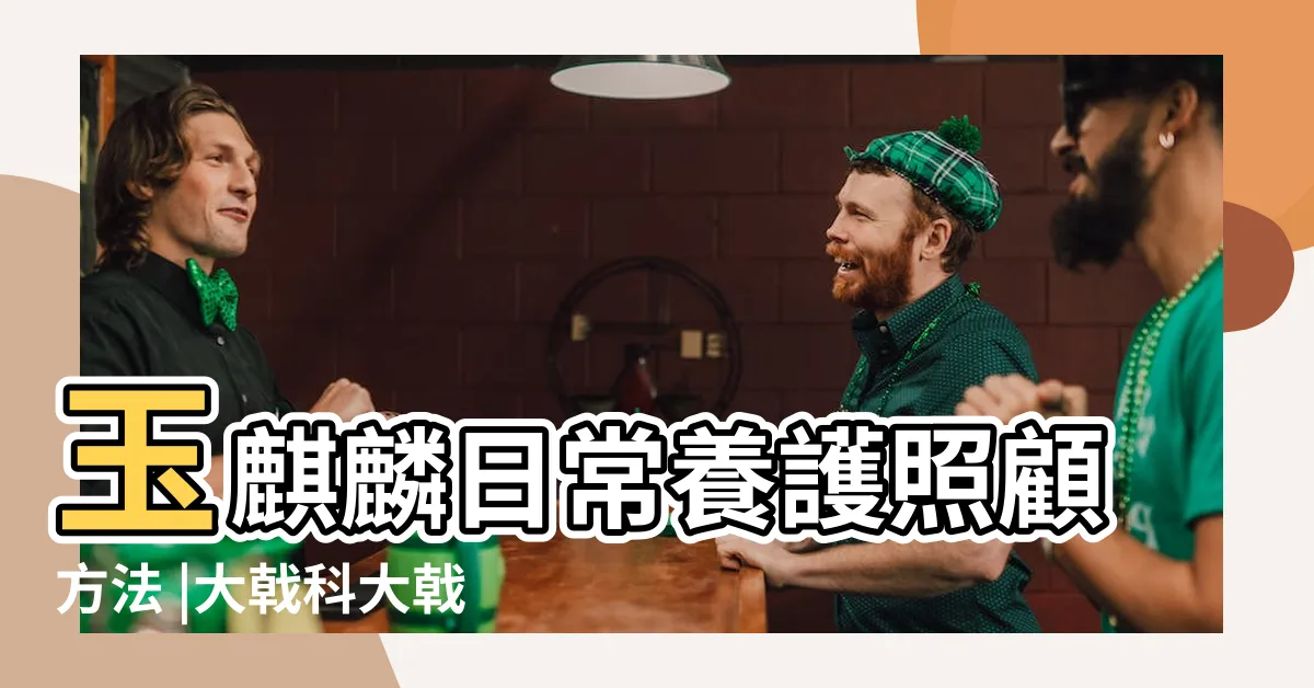 【玉麒麟多肉】玉麒麟日常養護照顧方法 |大戟科大戟屬觀賞多肉植物 |