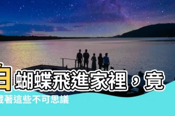 【白蝴蝶飛進家裡】白蝴蝶飛進家裡，竟隱藏著這些不可思議的寓意！