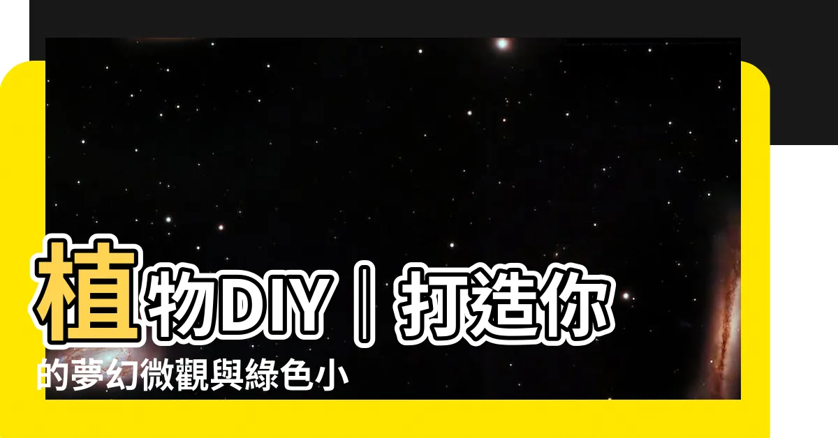 【植物 diy】植物DIY｜打造你的夢幻微觀與綠色小宇宙