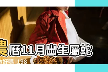 【屬蛇11月出生怎麼樣】農曆11月出生屬蛇人命好嗎 |1989蛇年11月出生的人命運好不好 |生肖蛇2023年11月運勢及運程詳解生肖蛇2023年11月 |