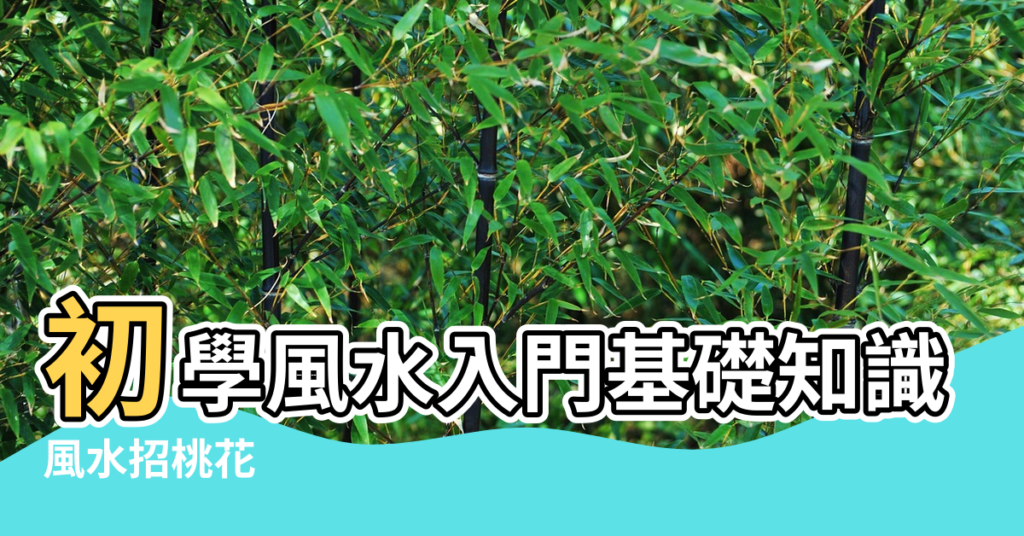 【初學住宅風水入門】初學風水入門基礎知識 |風水招桃花 |房屋風水學知識講座心得體會 |