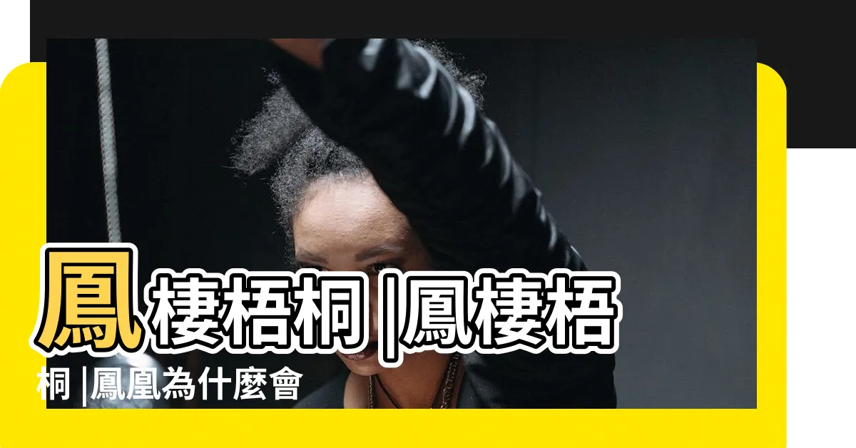 【梧桐鳳凰】鳳棲梧桐 |鳳棲梧桐 |鳳凰為什麼會選擇在梧桐樹上棲息 |