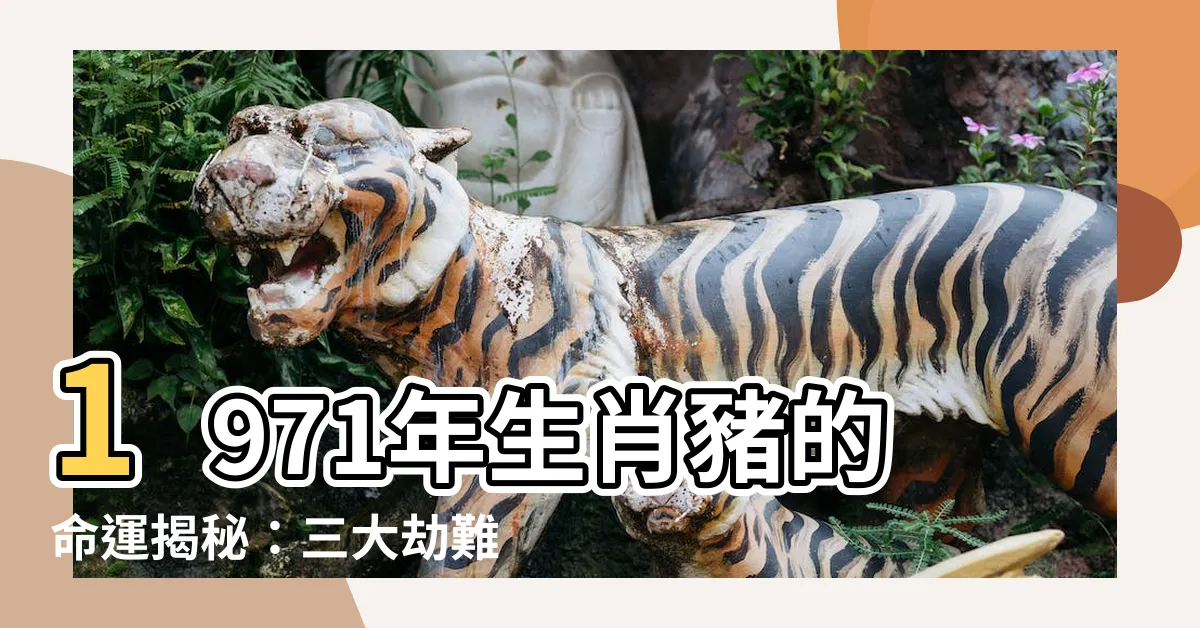 【1971 年生肖】1971年生肖豬的命運揭秘：三大劫難和晚年宿命