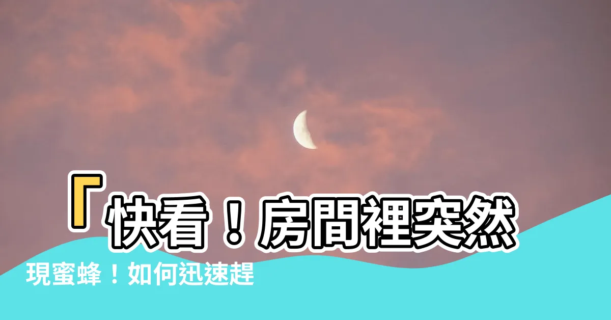 【房間有蜜蜂】「快看！房間裡突然現蜜蜂！如何迅速趕走它？」