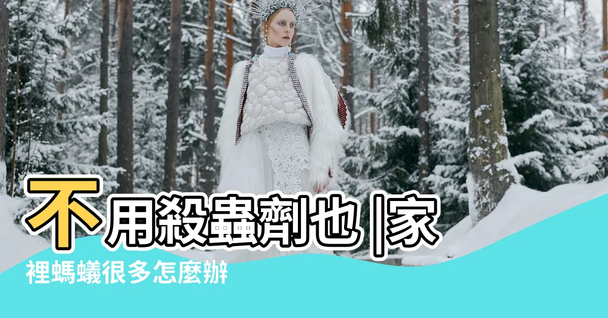 【家中螞蟻多】不用殺蟲劑也 |家裡螞蟻很多怎麼辦 |家裡螞蟻多到殺不完怎麼辦 |