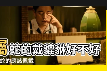 【屬蛇人能用貔?n圖片嗎】屬蛇的戴貔貅好不好 |屬蛇的應該佩戴什麼掛件 |適合帶貔貅嗎 |