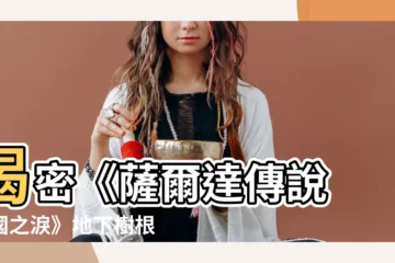 【地下樹根位置】揭密《薩爾達傳説 王國之淚》地下樹根位置攻略！