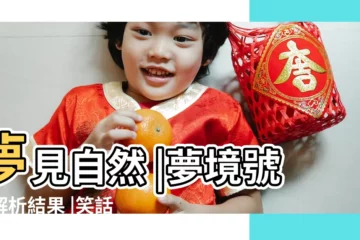 【夢見碧綠色的可怕的海】夢見自然 |夢境號碼解析結果 |笑話集錦 |