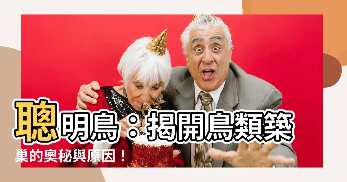 【鳥築巢原因】聰明鳥：揭開鳥類築巢的奧秘與原因！