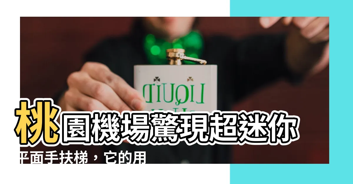 【平面手扶梯】桃園機場驚現超迷你平面手扶梯，它的用途令人意想不到！