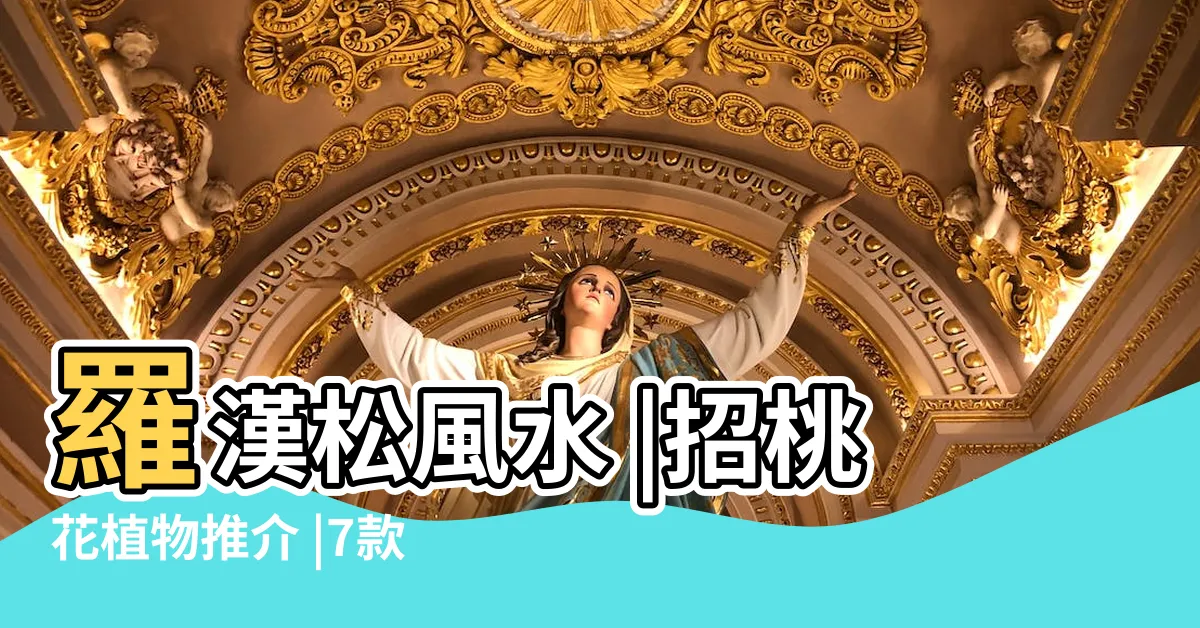 【羅漢松辦公室風水】羅漢松風水 |招桃花植物推介 |7款招財 |