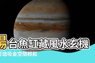 【陽台魚缸】陽台魚缸藏風水玄機！打造吸金空間輕鬆增財運