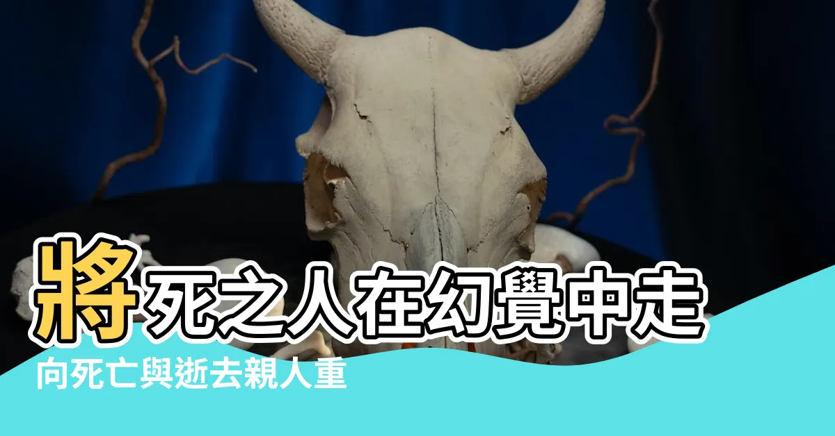 【走向死亡】將死之人在幻覺中走向死亡與逝去親人重聚 |我們都漸漸的走向死亡 |DCEU如何走向死亡 |