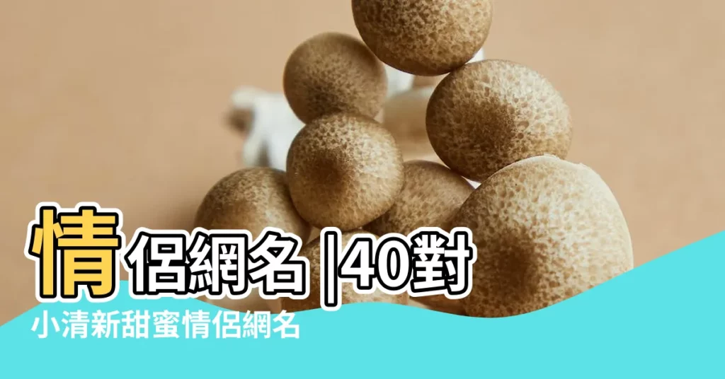 情侶網名 |40對小清新甜蜜情侶網名超好聽一男一女情侶名字大全 |2個字的情侶網名大全 |【一句話的情侶網名大全】