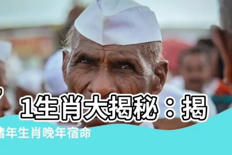 【71生肖】71生肖大揭秘：揭開豬年生肖晚年宿命&50歲後運勢！
