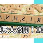 【立極尺】立極尺大公開！1000 件實用尺讓你秒懂玄空飛星