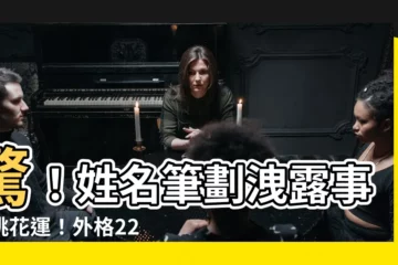 【外格 22】驚！姓名筆劃洩露事業桃花運！外格22竟有這些秘密！快來解密！