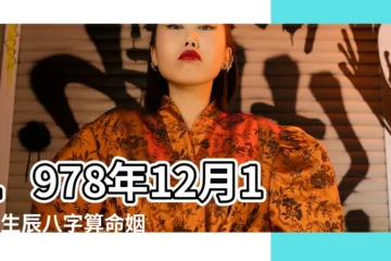 【1978年12月13屬馬】1978年12月13日生辰八字算命姻緣 |1978年12月13日子時出生屬馬的女人是什麼命 |超準愛情測試 |