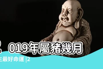 【2019屬豬人的幾種命運】2019年屬豬幾月出生最好命運 |2019年生人五行屬什麼命2019年屬豬一生命運如何 |2019年屬豬是什麼命 |