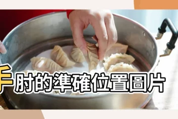 【胳膊肘是哪個部位】手肘的準確位置圖片 |