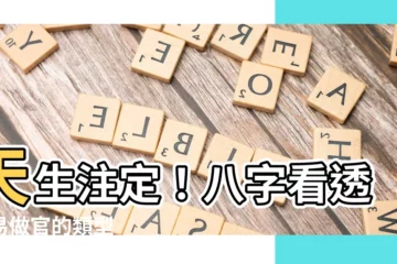 【做官的命】天生註定！八字看透容易做官的類型
