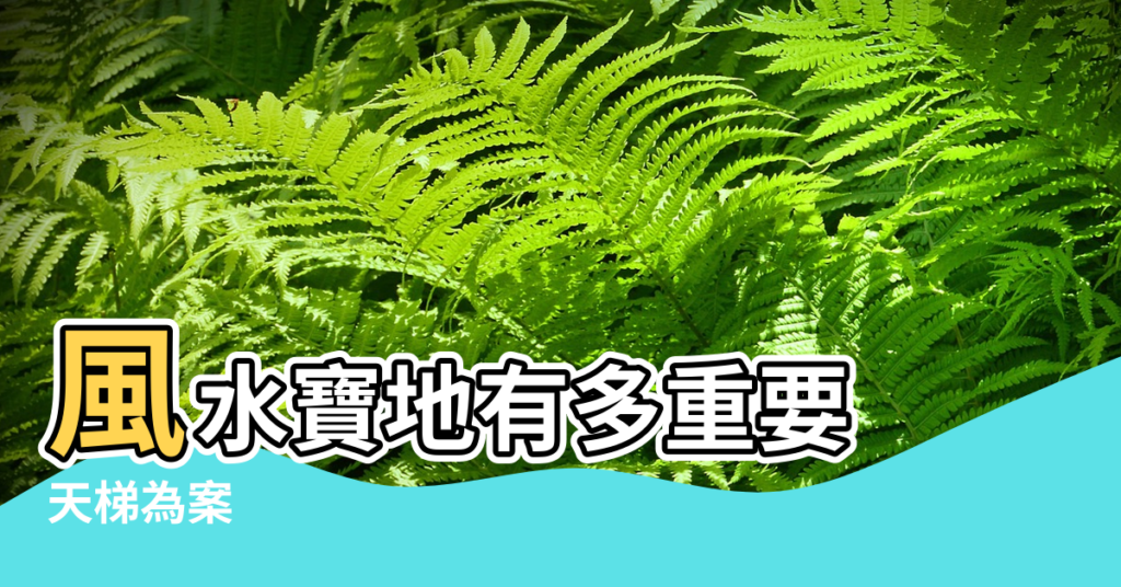 【風水下天梯】風水寶地有多重要 |天梯為案 |主發富貴的十二天梯水穴風水寶地 |