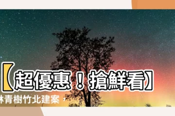 【椰林青樹】【超優惠！搶鮮看】椰林青樹竹北建案，入住尊榮環境！