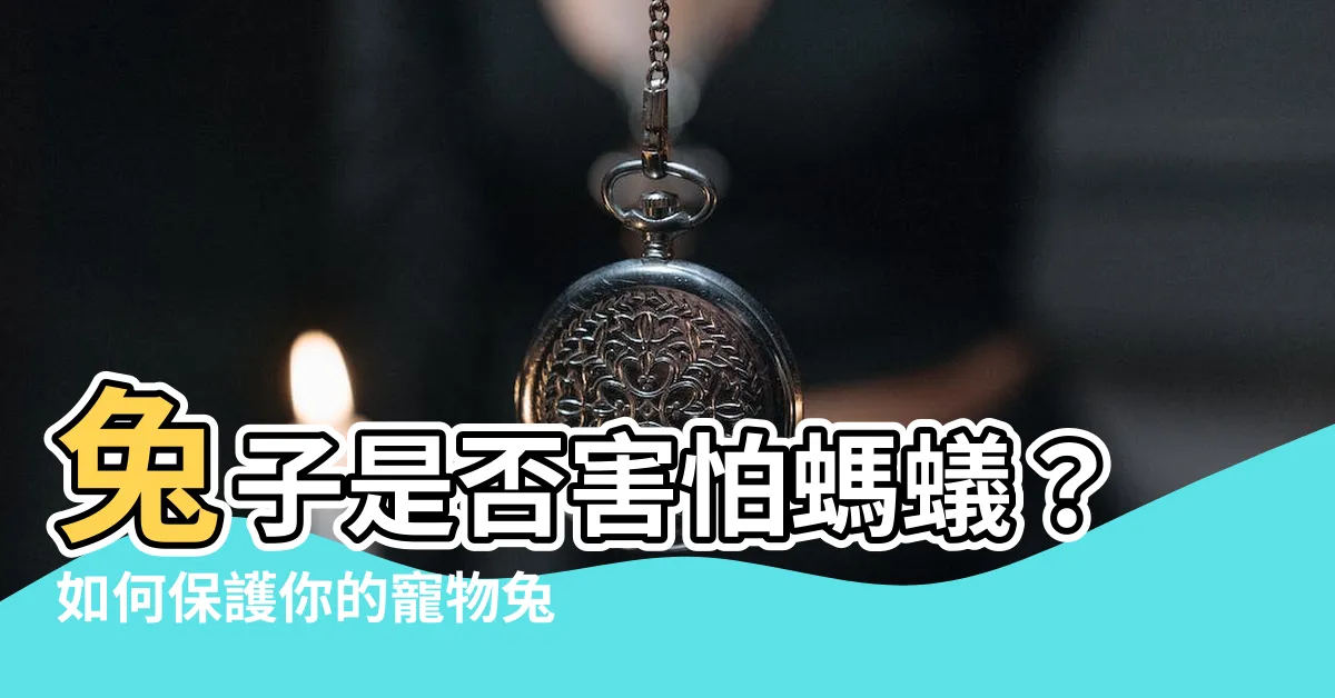 【兔子怕螞蟻嗎】兔子是否害怕螞蟻？如何保護你的寵物兔免受蟻害？