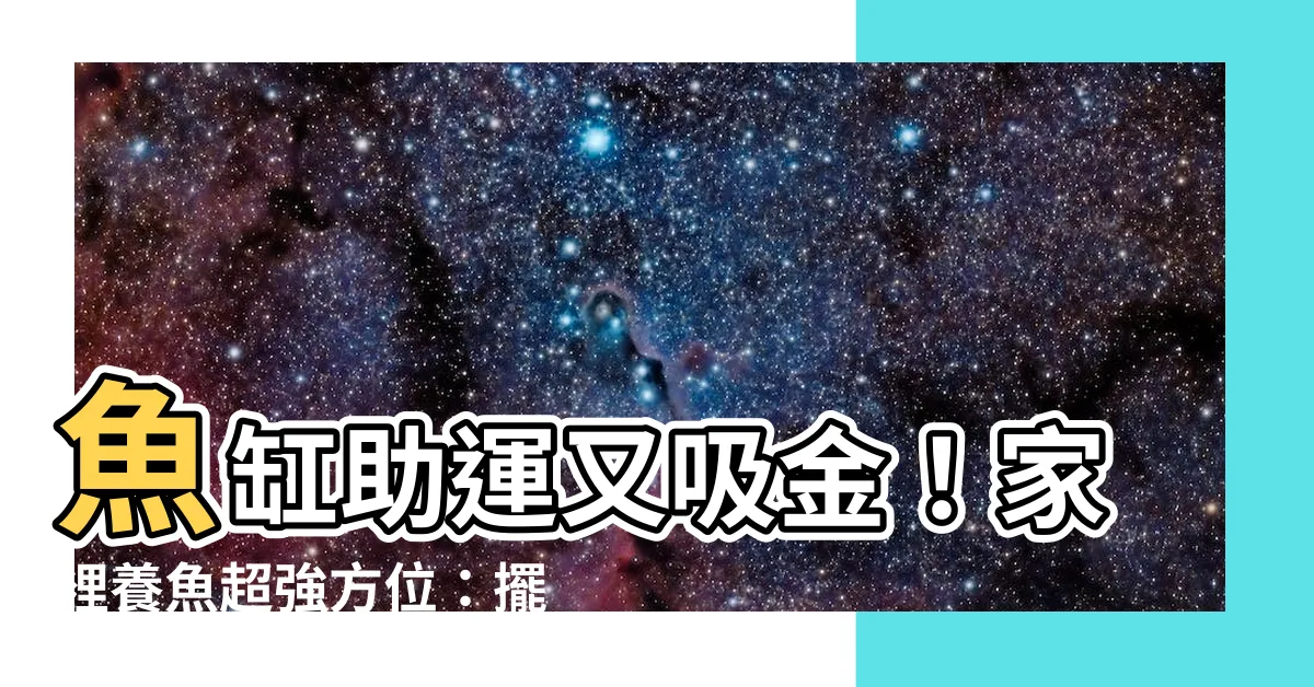【家裡養魚方位】魚缸助運又吸金！家裡養魚超強方位：擺對財源滾滾來！