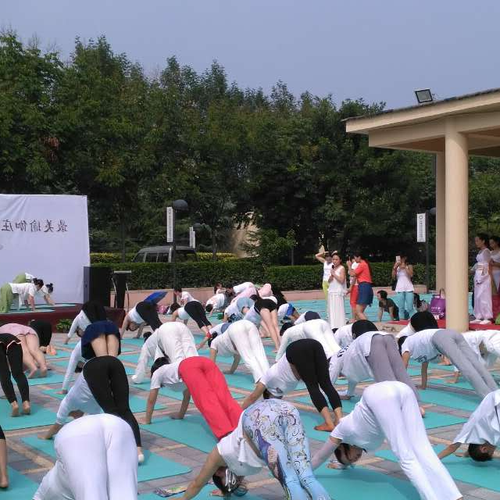 2、鄭州哪個瑜伽課比較好，在哪裡？ 