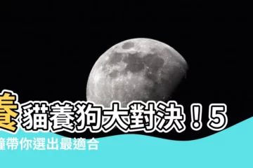 【養貓 養狗】養貓養狗大對決！5分鐘帶你選出最適合的寵物！