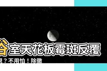 【天花板黴斑】浴室天花板黴斑反覆出現？不用怕！除黴專家教您一次解決！