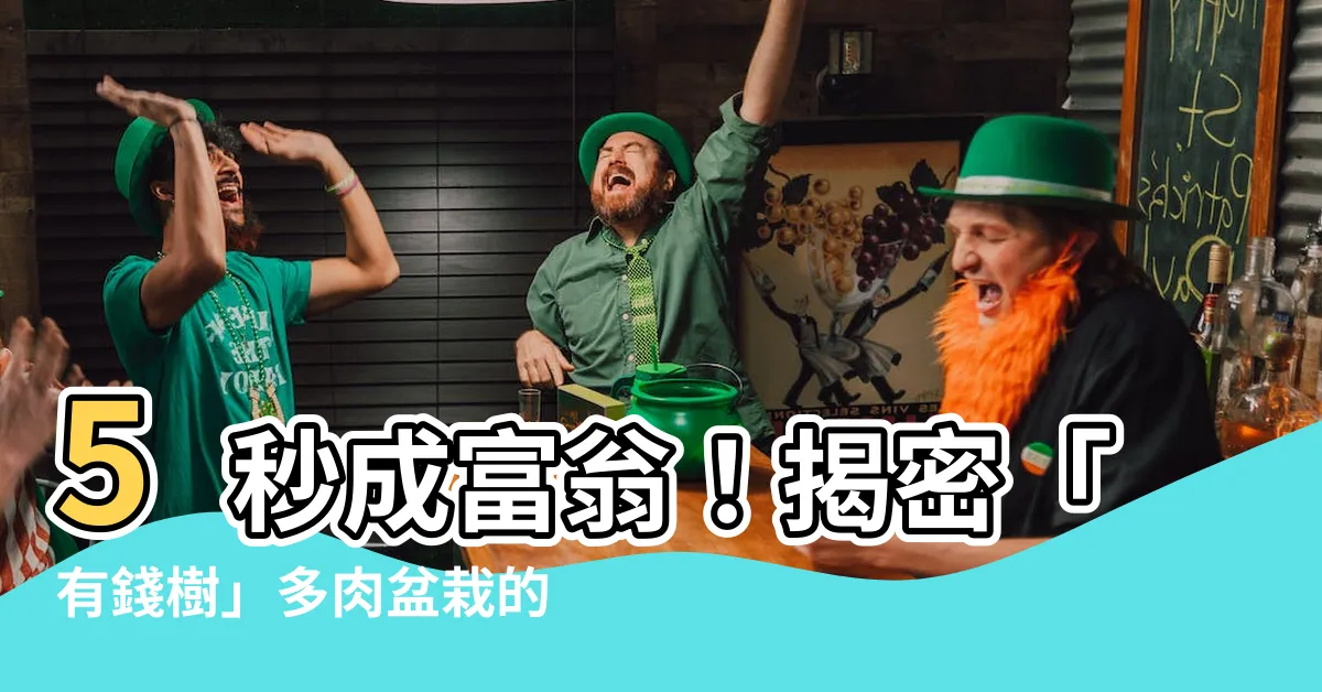 【有錢樹】5秒成富翁！揭密「有錢樹」多肉盆栽的驚人奧秘！