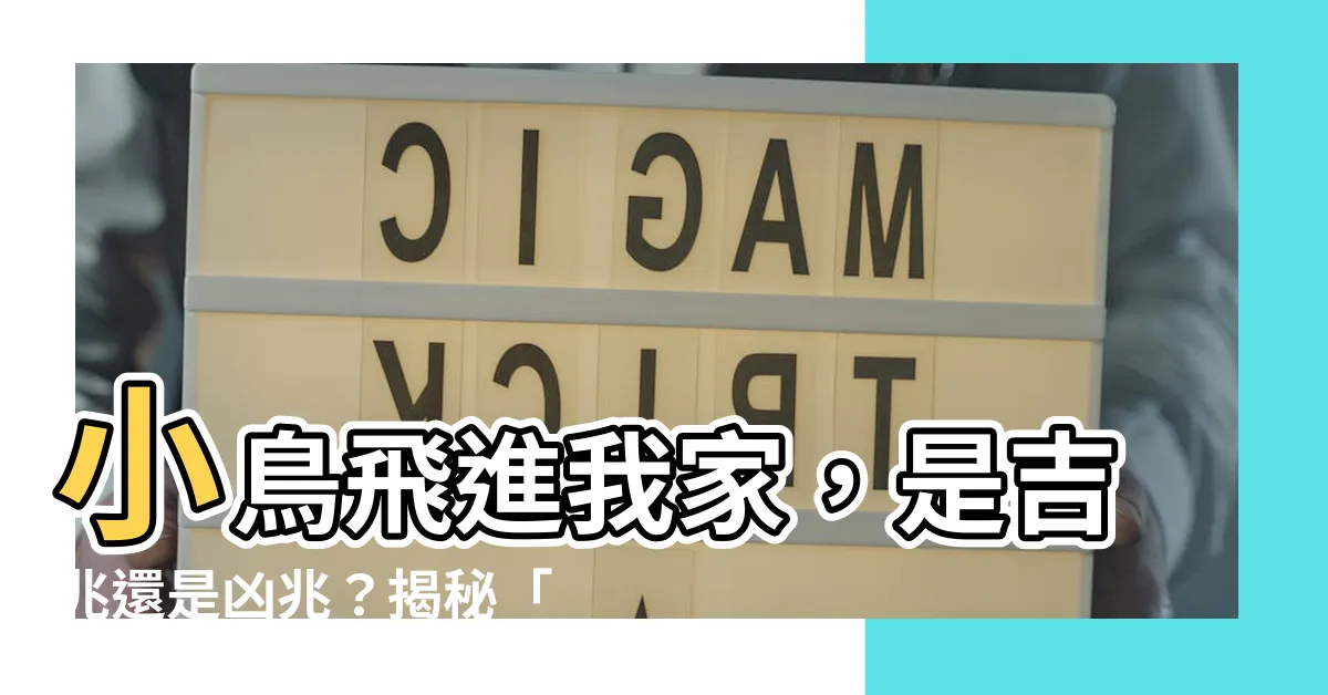 【鳥來家好嗎】小鳥飛進我家，是吉兆還是凶兆？揭秘「鳥來家」背後寓意