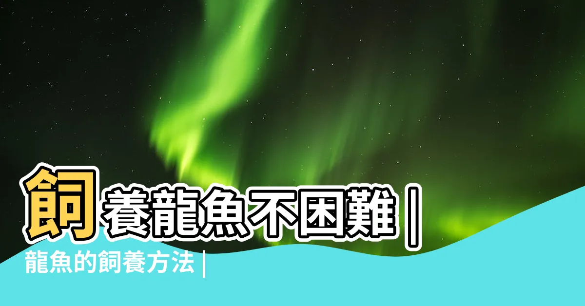 【龍魚飼養】飼養龍魚不困難 |龍魚的飼養方法 |龍魚養工 |