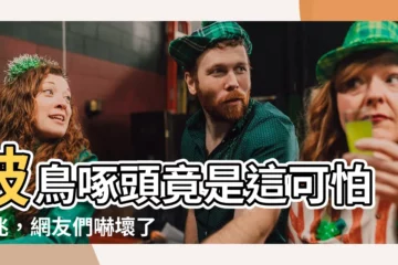【被鳥啄】被鳥啄頭竟是這可怕徵兆，網友們嚇壞了！