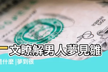 【夢見自己身上有很多小雞】一文瞭解男人夢見雛雞是什麼 |夢到很多小雞仔 |女人夢見很多小雞仔滿地跑 |