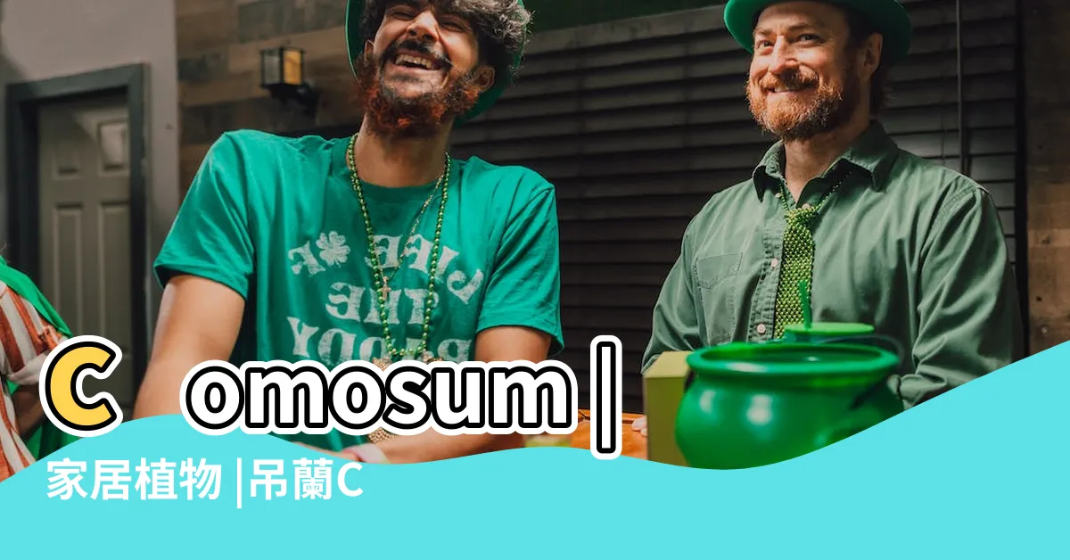 【吊蘭】comosum |家居植物 |吊蘭Chlorophytum |