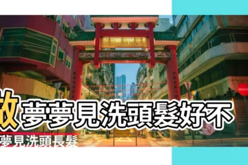 【夢見頭髮變長洗頭】做夢夢見洗頭髮好不好 |夢見洗頭長髮什麼意思 |夢到頭髮變長變多 |