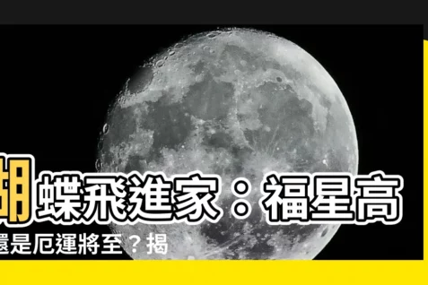 【蝴蝶飛進家】蝴蝶飛進家：福星高照還是厄運將至？揭秘背後寓意！