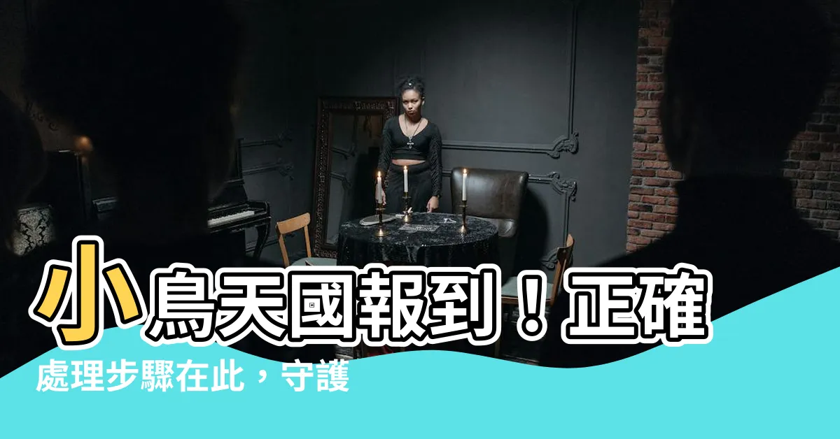 【小鳥死掉怎麼處理】小鳥天國報到！正確處理步驟在此，守護你我健康