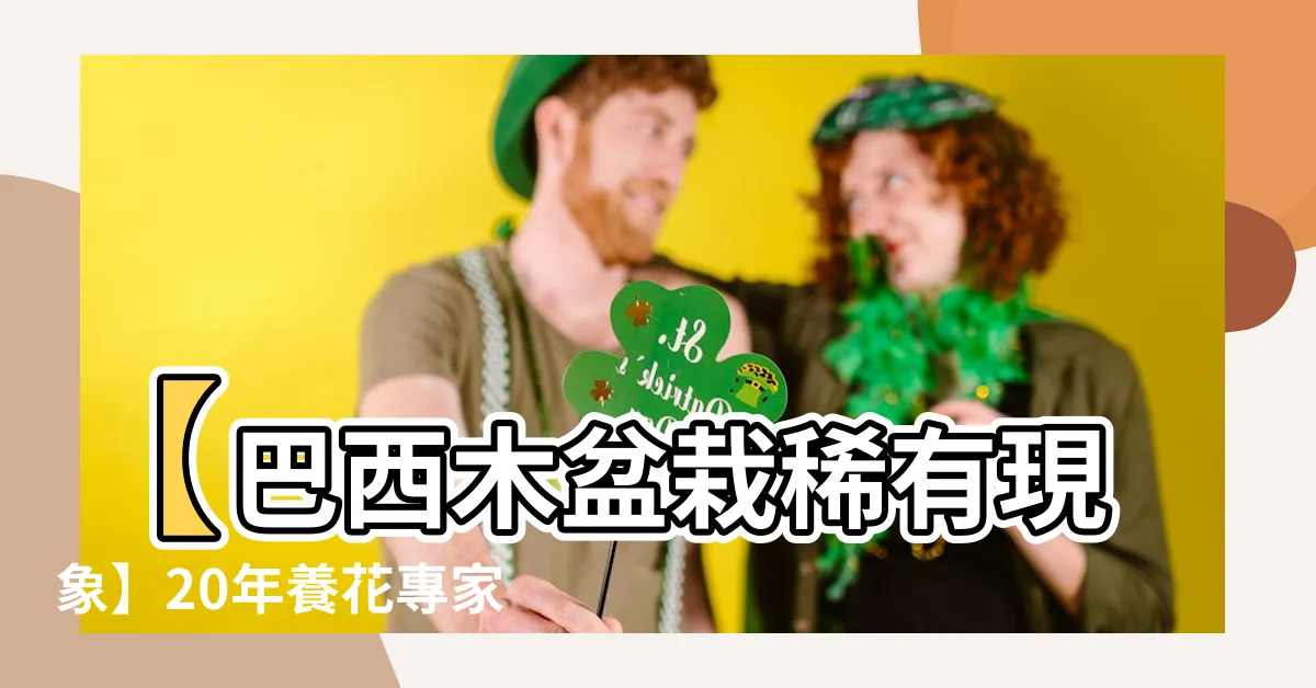 【巴西木香味】【巴西木盆栽稀有現象】20年養花專家驚艷！開花3次 香氣滿室