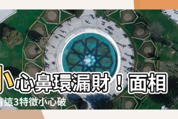【鼻環漏財】小心鼻環漏財！面相｜有這3特徵小心破財
