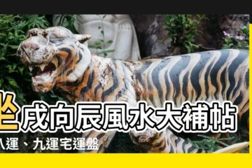 【坐戌向辰】坐戌向辰風水大補帖：八運、九運宅運盤全攻略
