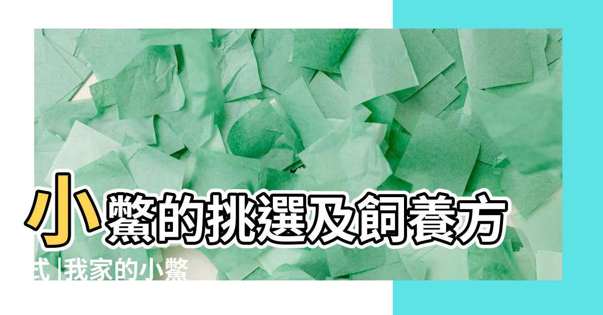 【養鱉】小鱉的挑選及飼養方式 |我家的小鱉 |養殖甲魚技巧 |