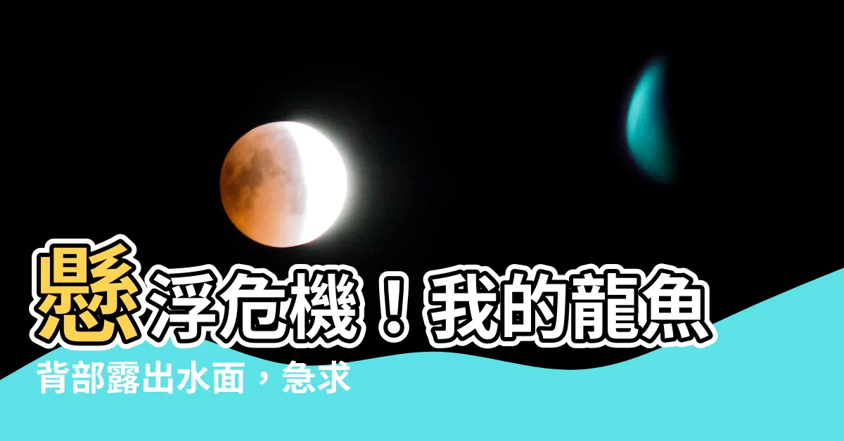 【龍魚浮背】懸浮危機！我的龍魚背部露出水面，急求解救妙方