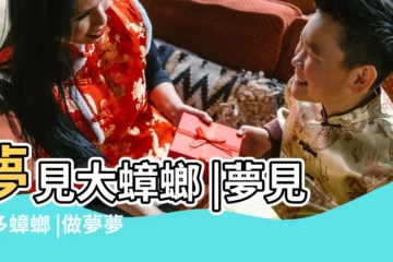 【周公解夢夢見蟑螂很大】夢見大蟑螂 |夢見很多蟑螂 |做夢夢到一隻大蟑螂 |