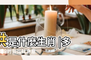 【洪像什麼生肖】洪是什麼生肖 |多彩繽紛的台灣社會意象洪易 |十二生肖 |