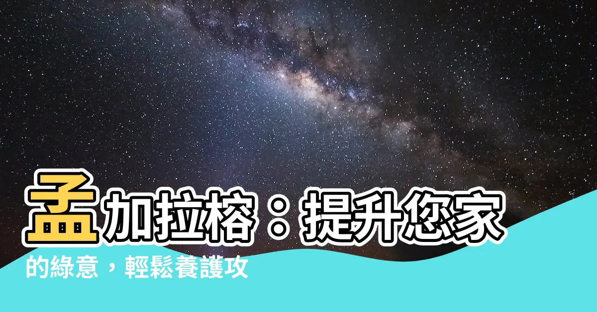 【孟加拉榕】孟加拉榕：提升您家的綠意，輕鬆養護攻略！