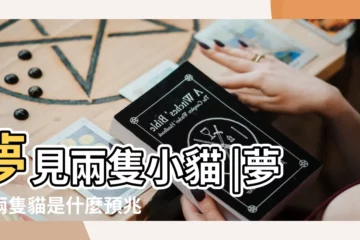 【女人夢見2只貓】夢見兩隻小貓 |夢見兩隻貓是什麼預兆 |夢見兩隻貓 |